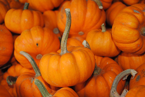 Pumpkins